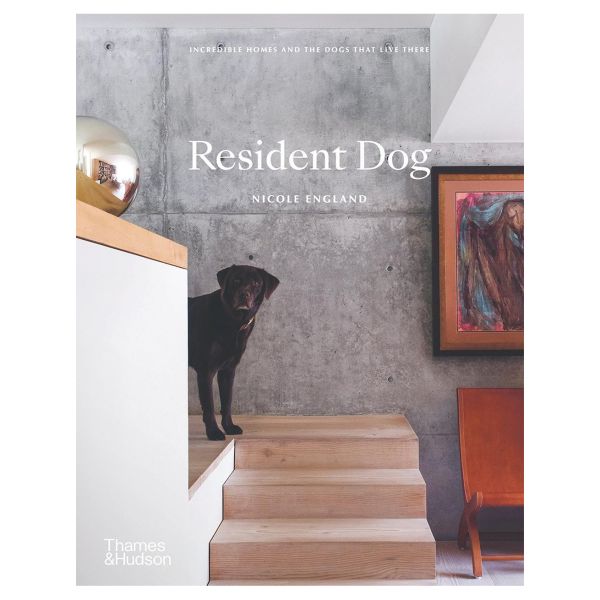 Resident Dog By Nicole England | Allium Interiors