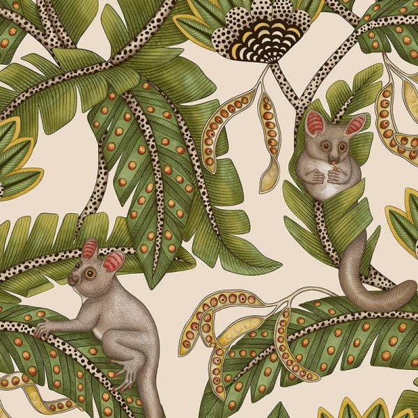 Cole And Son Wallpaper Bush Baby 119/7032 | Allium Interiors
