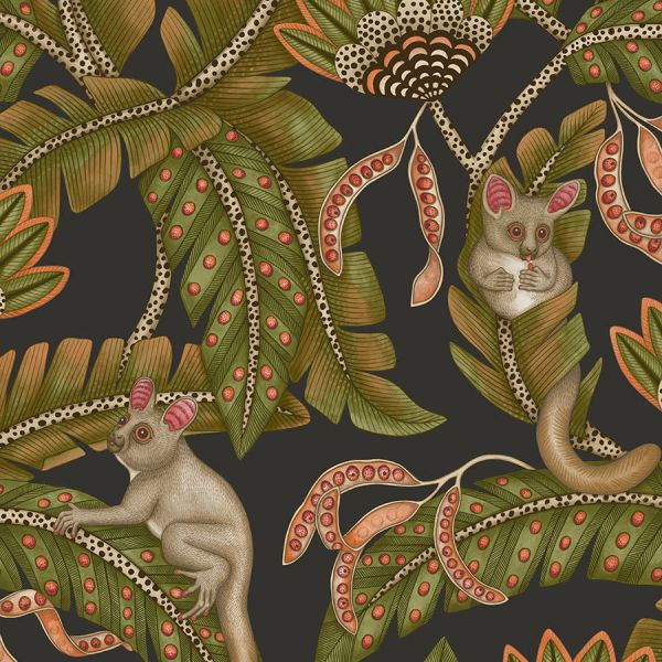 Cole And Son Wallpaper Bush Baby 119/7031 | Allium Interiors