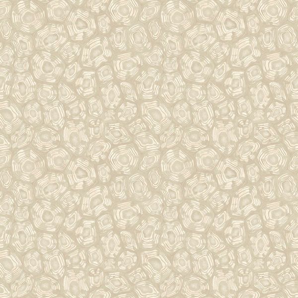 Cole And Son Wallpaper Savanna Shell 119/4021 | Allium Interiors
