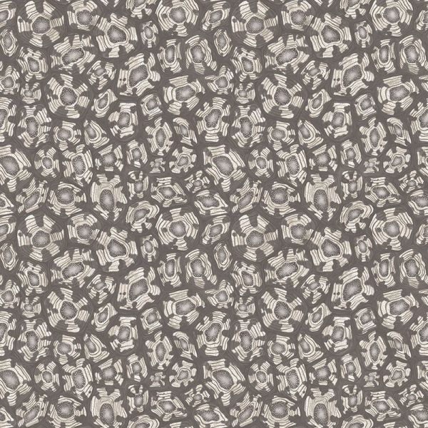 Cole And Son Wallpaper Savanna Shell 119/4023 | Allium Interiors
