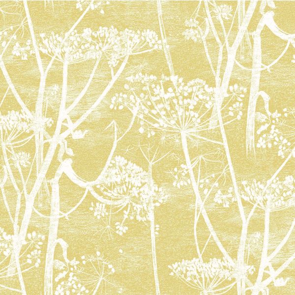 Cole And Son Fabric Cow Parsley Linen White & Chartreuse  | Allium Interiors
