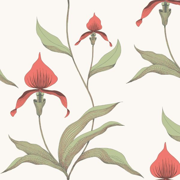 Cole And Son Wallpaper Orchid 95/10054 | Allium Interiors