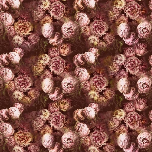 Designers Guild Fabric Vespertina Sepia | Allium Interiors