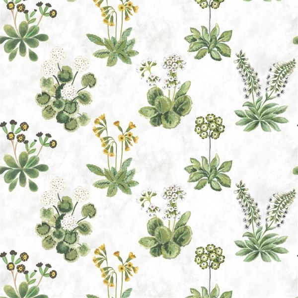 Designers Guild Fabric Primevère Sage | Allium Interiors
