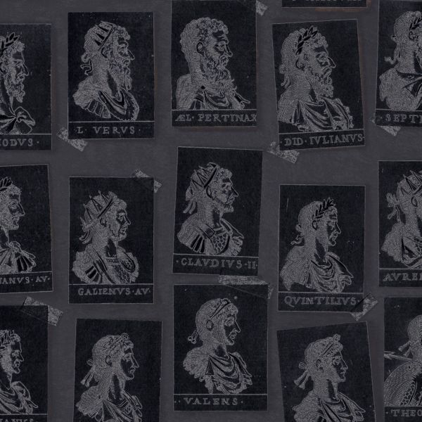 Mind The Gap Wallpaper Emperors Anthracite | Allium Interiors