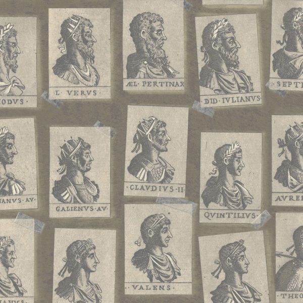 Mind The Gap Wallpaper Emperors Taupe | Allium Interiors