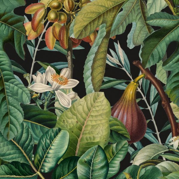 Mind The Gap Wallpaper Figs And Dates | Allium Interiors