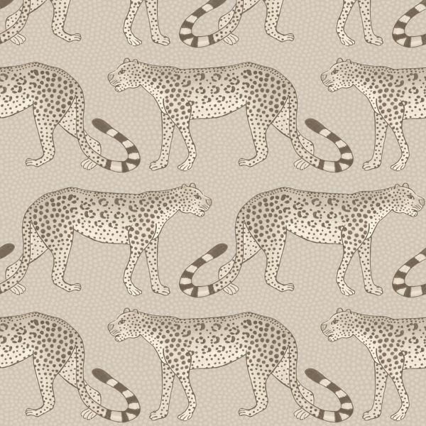 Cole And Son Wallpaper Leopard Walk 109/2012 | Allium Interiors