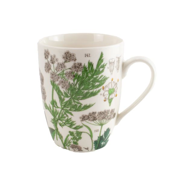 Museum Mug Elder Leaf, Hortus Botanicus | Allium Interiors