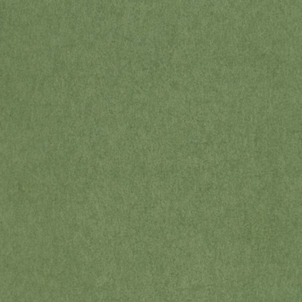 Osborne & Little Wallpaper Chroma W7360-01 | Allium Interiors