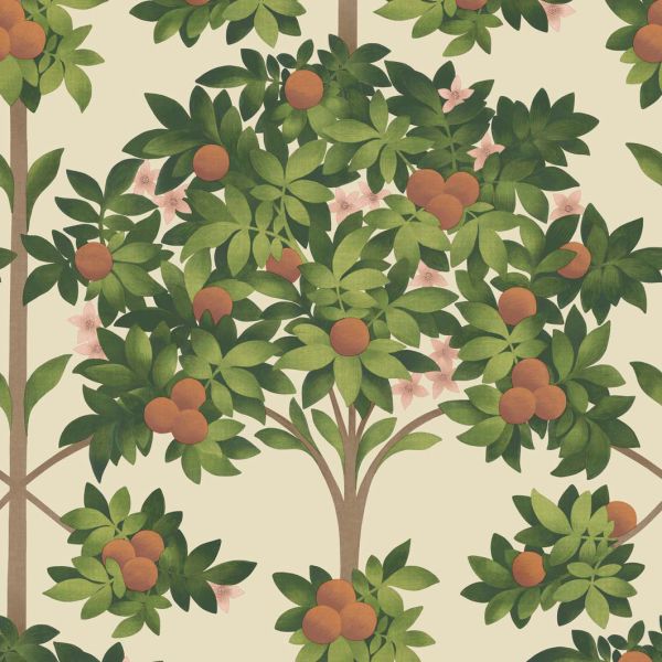 Cole And Son Wallpaper Orange Blossom 117/1001 | Allium Interiors