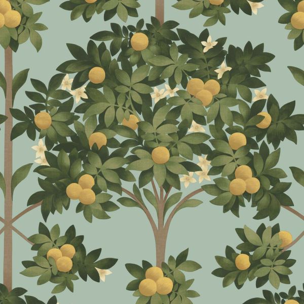Cole And Son Wallpaper Orange Blossom 117/1002 | Allium Interiors