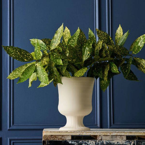 Robert Gordon Trophy Life Devon Vase  | Allium Interiors