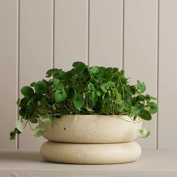 Robert Gordon Cloud Planter White Speckle Wide | Allium Interiors