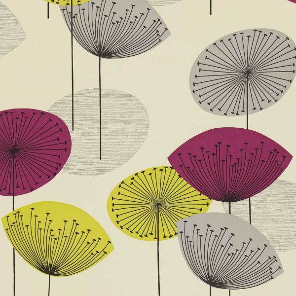 Sanderson Wallpaper Dandelion Clocks Blackcurrant  | Allium Interiors