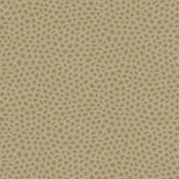 Cole And Son Wallpaper Senzo Spot 109/6029 | Allium Interiors