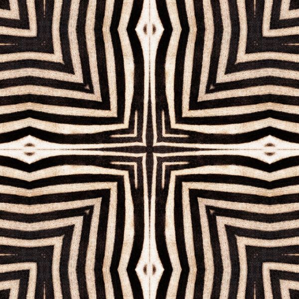 Mind The Gap Wallpaper Serengeti  | Allium Interiors