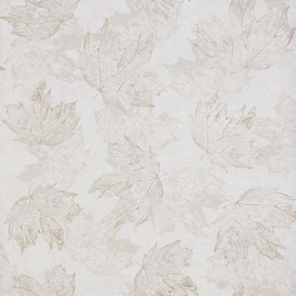 Osborne & Little Wallpaper Sycamore Stone | Allium Interiors