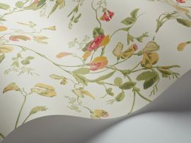 Cole And Son Wallpaper Sweet Pea 100/6027