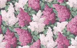 Cole And Son Wallpaper Lilac 115/1001