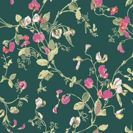 Cole And Son Wallpaper Sweet Pea 115/11033