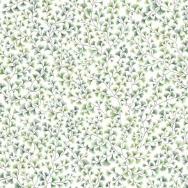 Cole And Son Wallpaper Maidenhair 115/6018