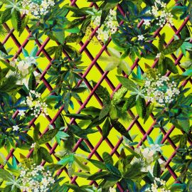 Christian Lacroix Fabric Canopy Lime