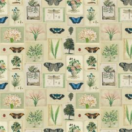 John Derian Fabric Flora And Fauna Parchment