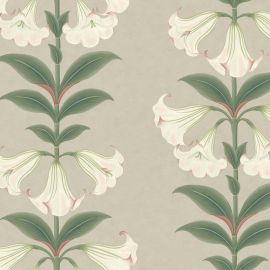 Cole And Son Wallpaper Angel's Trumpet 117/3007