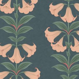 Cole And Son Wallpaper Angel's Trumpet 117/3009
