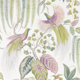 Sanderson Wallpaper Bird of Paradise Orchid
