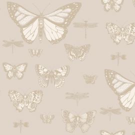 Cole And Son Wallpaper Butterflies & Dragonflies 103/15064