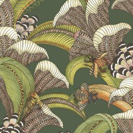 Cole And Son Wallpaper Hoopoe Leaves 119/1003