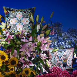 Christian Lacroix Cushion Flowers Galaxy Multicolore