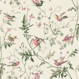 Cole And Son Fabric Hummingbirds Classic Multi
