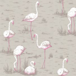 Cole And Son Wallpaper Flamingos 66/6042
