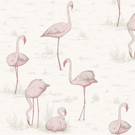 Cole And Son Wallpaper Flamingos 95/8045