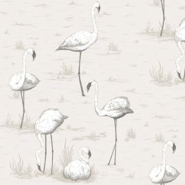 Cole And Son Wallpaper Flamingos 95/8046