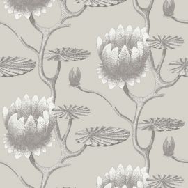 Cole And Son Wallpaper Summer Lily 95/4025