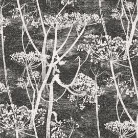 Cole And Son Wallpaper Cow Parsley 66/7046