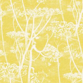 Cole And Son Wallpaper Cow Parsley 66/7051