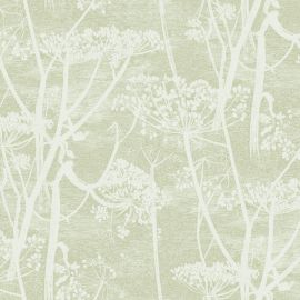 Cole And Son Wallpaper Cow Parsley 112/8029