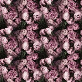 Designers Guild Fabric Vespertina Blossom