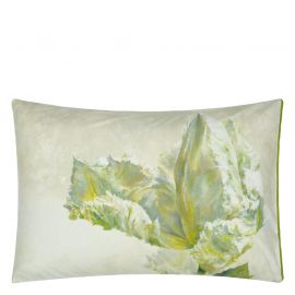 Designers Guild Spring Tulip Buttermilk Standard Pillowcase