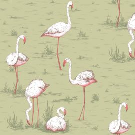 Cole And Son Wallpaper Flamingos 112/11038