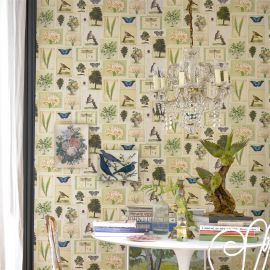 John Derian Wallpaper Flora And Fauna Parchment
