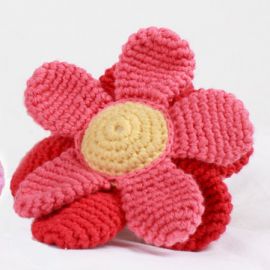Pebble Rattle Flower Red