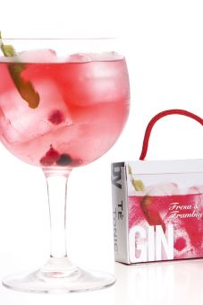 Te Tonic Mini Pack Gin & Tonic Strawberry & Raspberry