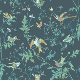 Cole And Son Wallpaper Hummingbirds 112/4014